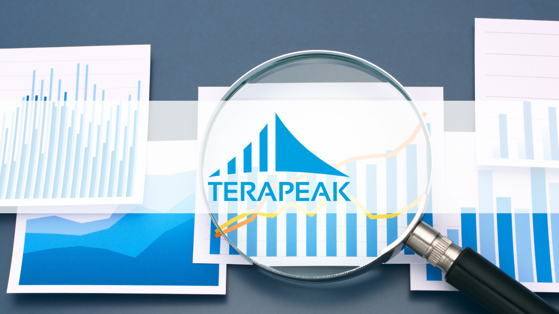Logo Terapeak v skle lupy nad stĺpcovými grafmi a trendovými čiarami – prieskum dopytu na eBayi