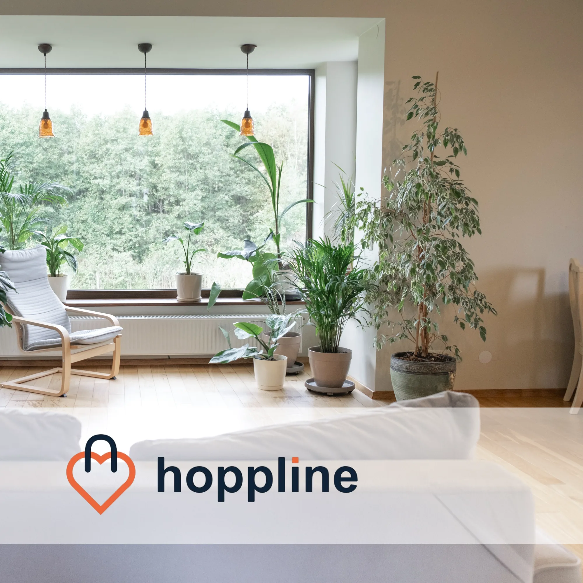 Hoppline | Pr&iacute;padov&aacute; &scaron;t&uacute;dia Raise Your Sales