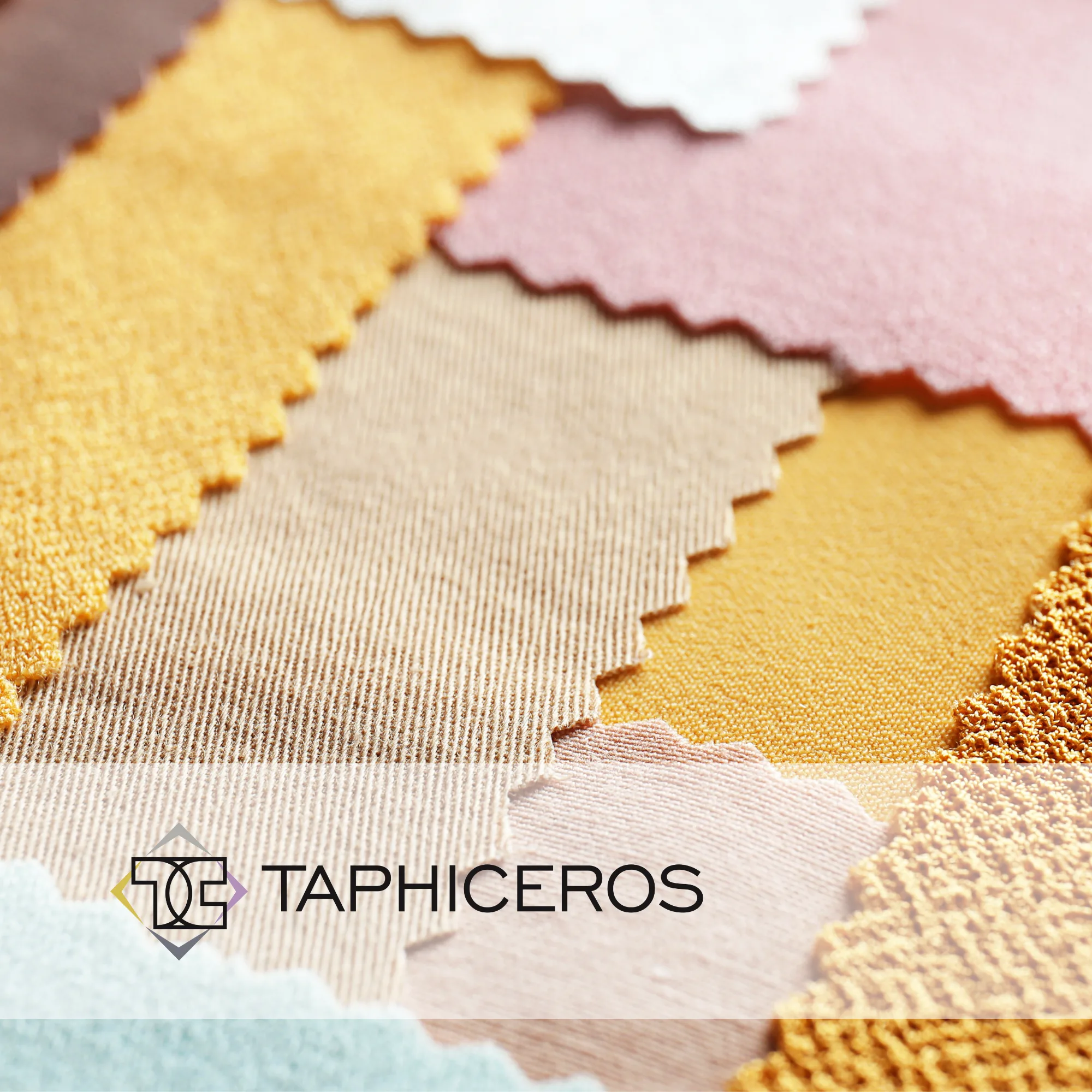 Taphiceros | Pr&iacute;padov&aacute; &scaron;t&uacute;dia Raise Your Sales